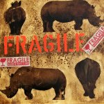 Fragile #5 tecnica mista su tela  40x40